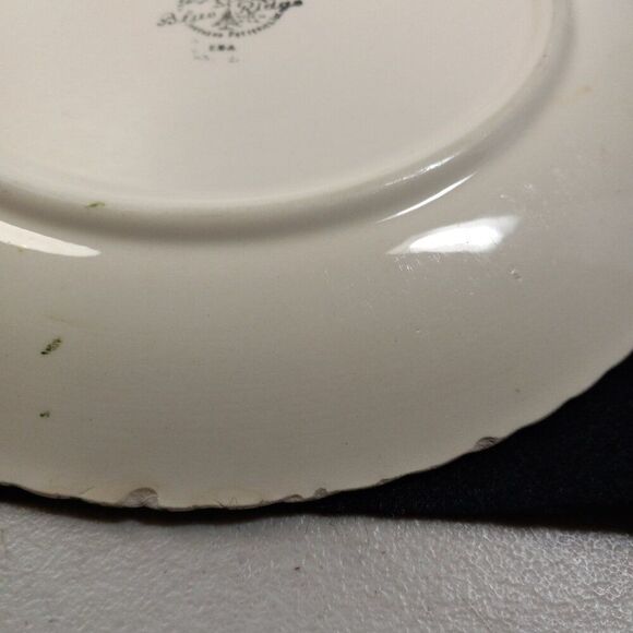 Blue Ridge Hand painted Underglaze Southern Potteries Cottagecore Countrycore - Picture 4 of 6